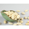 chinese canned white kidney beans